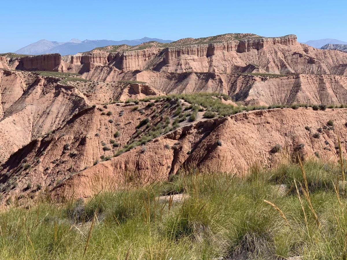 Cuevas El Torriblanco Pensionat Gorafe Exteriör bild