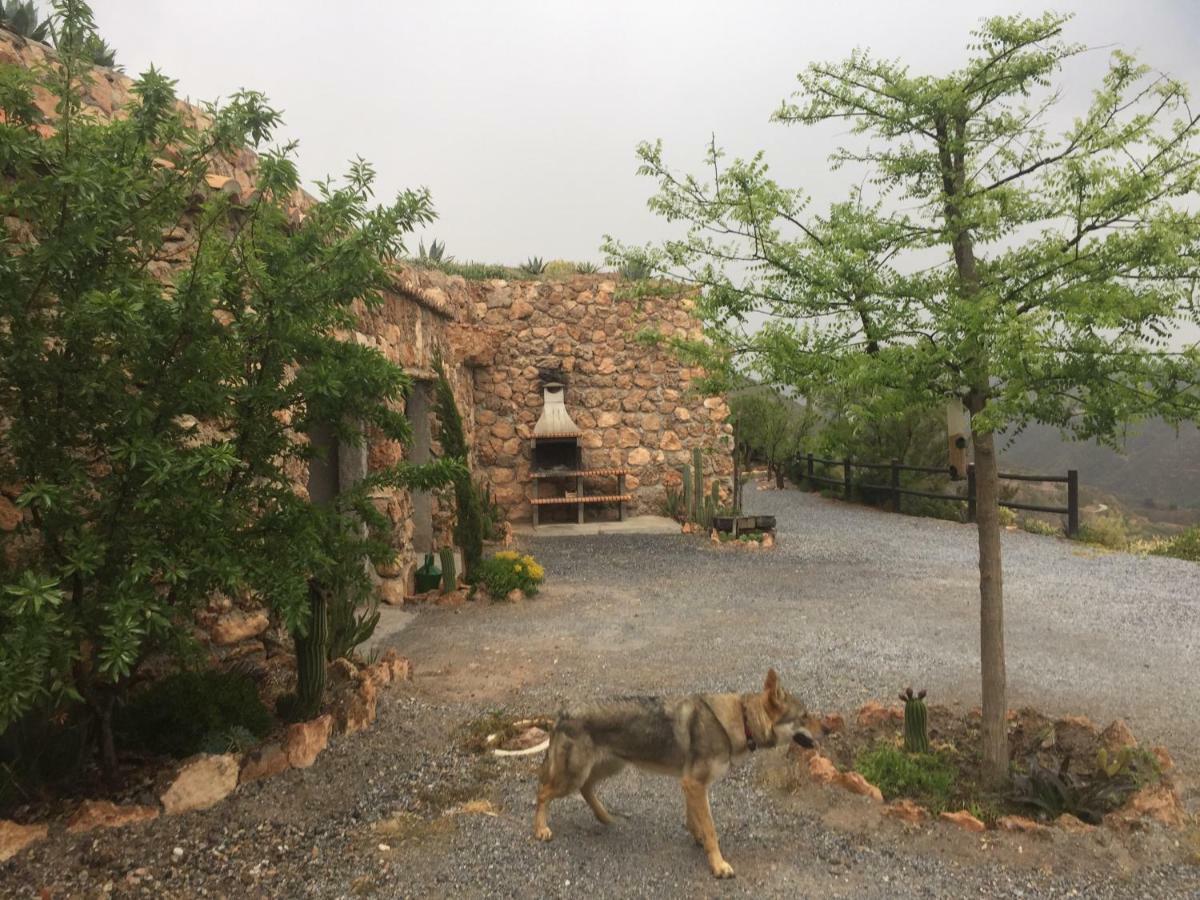 Cuevas El Torriblanco Pensionat Gorafe Exteriör bild